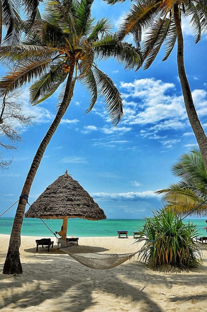 zanzibar flying package